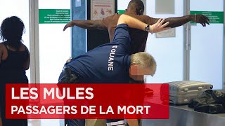 Documentaire Quand le corps devient passeur de drogue – Les mules