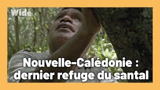 Documentaire Quand nature et humains s’entraident pour survivre