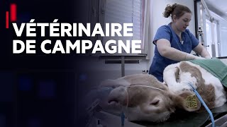 Recherche désespérément vétérinaire de campagne