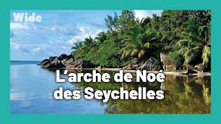 Seychelles : un paradis retrouvé
