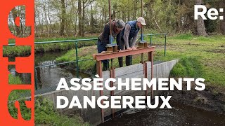 Tourbières et marais : au secours des héros du climat