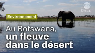 Un fleuve dans le désert