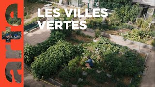 Documentaire Une histoire des jardins ouvriers