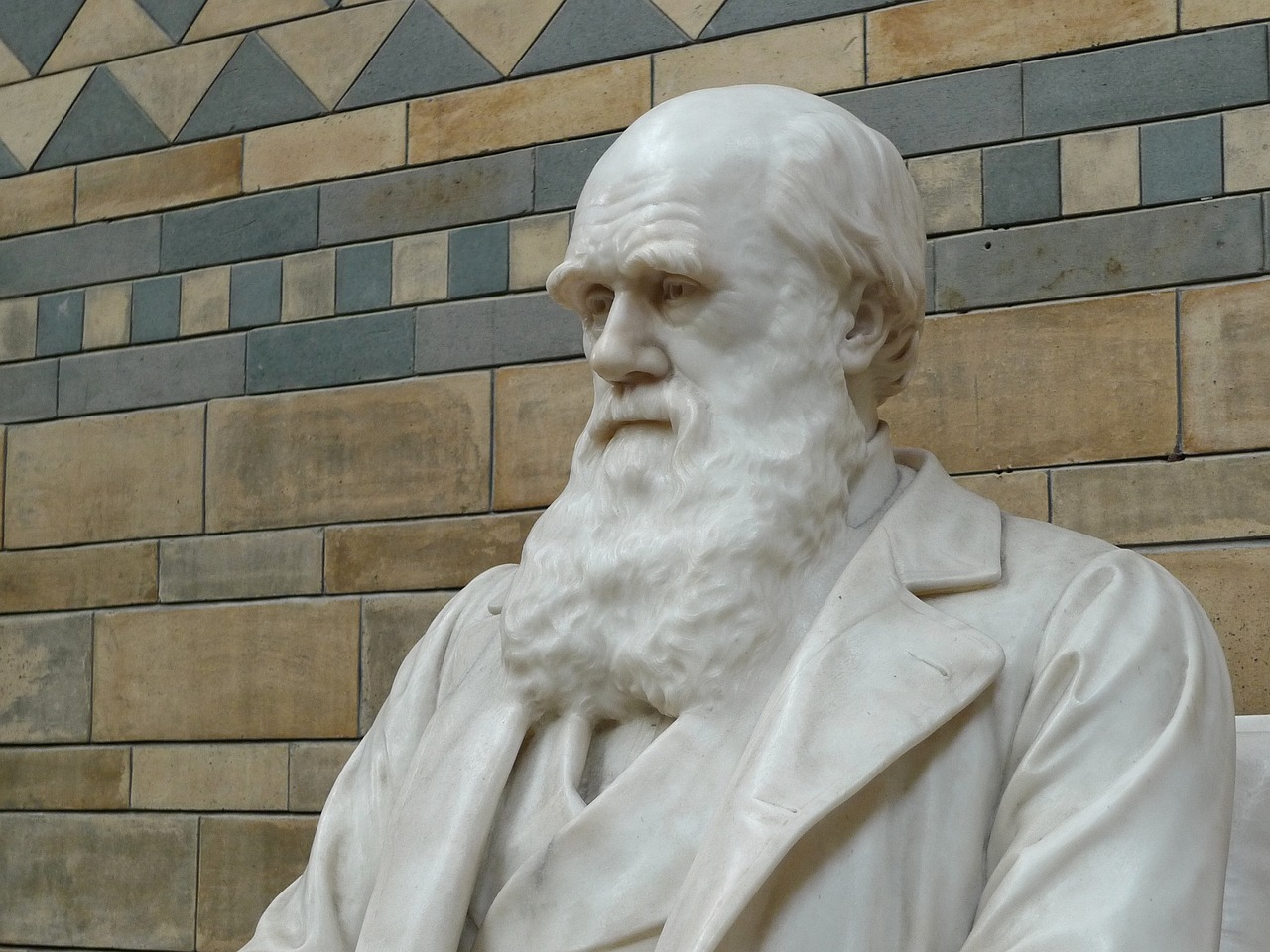 Charles Darwin en bref