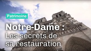 À Notre-Dame, les matériaux livrent leurs secrets