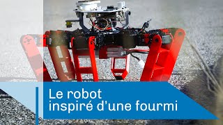 AntBot : le robot fourmi
