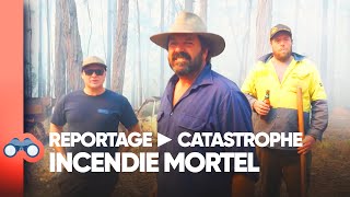 Australie : les dégâts écologiques causés par les incendies !