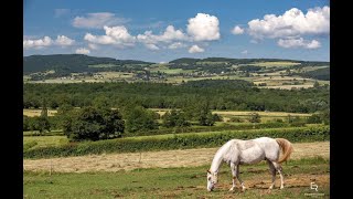 Les routes mythiques de la Bresse Bourguignonne