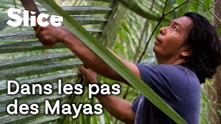 Belize : terre sauvage et impénétrable