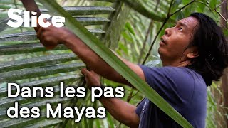 Documentaire Belize : terre sauvage et impénétrable