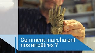 Comment marchaient nos ancêtres