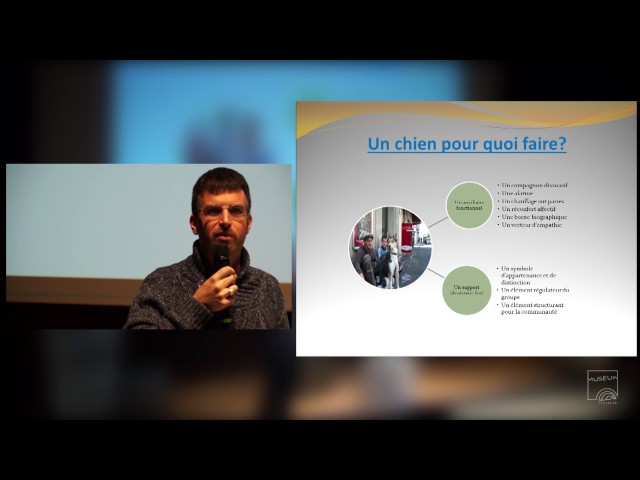 Le punk à chiens : un binôme méconnu