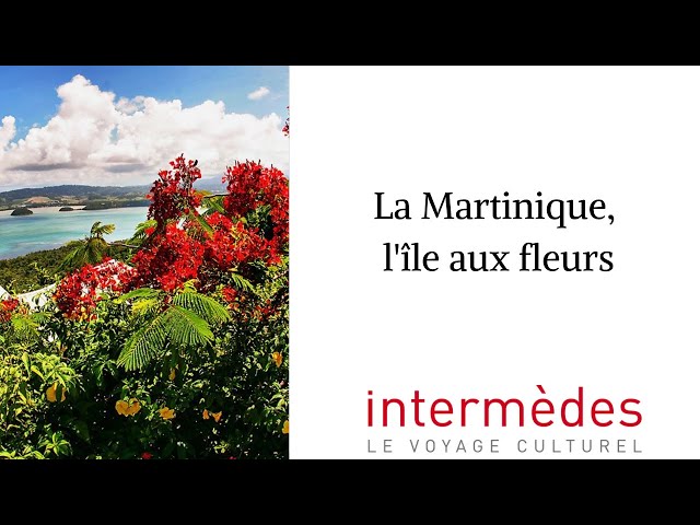 Documentaire La Martinique, l’île aux fleurs
