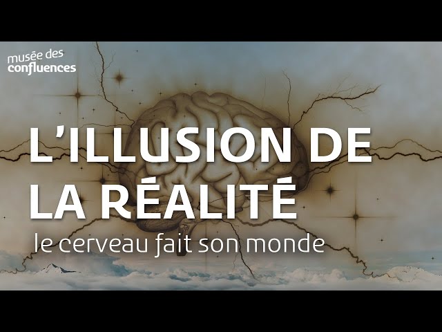 Le cerveau fait son monde : l’illusion de la réalité