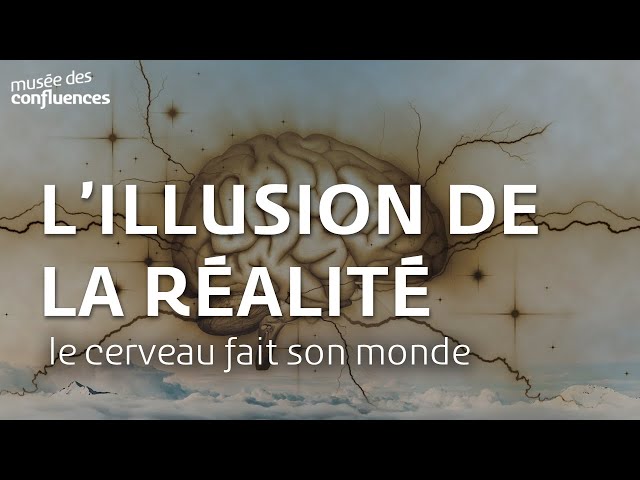 Documentaire Le cerveau fait son monde : l’illusion de la réalité