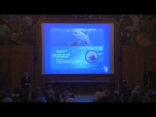 Requins : au-delà du malentendu