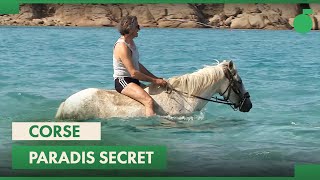 Documentaire Corse : les trésors d’un paradis secret