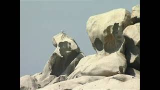 Documentaire Corse, un séjour sur l’île de Beauté