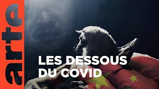 Covid-19, la quête des origines