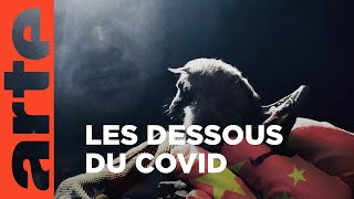 Documentaire Covid-19, la quête des origines