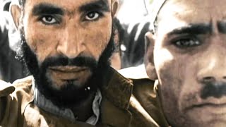D'Auschwitz à Jérusalem