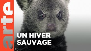 Dans les glaces de l'hiver | L'Amérique des Grands Lacs