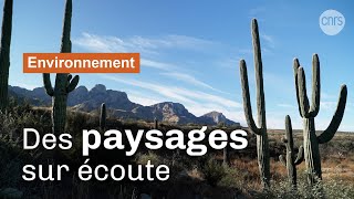 Des paysages qui s'écoutent