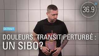 Douleurs, transit perturbé : un SIBO ?
