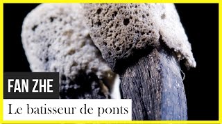 Fan Zhe, le bâtisseur de ponts