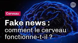Fake news : qu’est-ce qui trompe notre cerveau ?