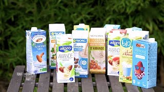 Faut-il passer aux laits végétaux ?