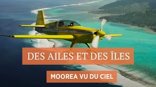 Feuille morte à Moorea