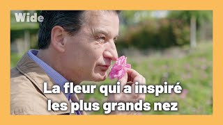 Grasse : la capitale de la parfumerie française