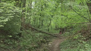 Documentaire J’ai mal à ma terre