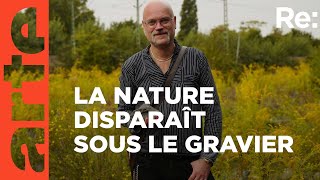 Documentaire Jardins minéraux