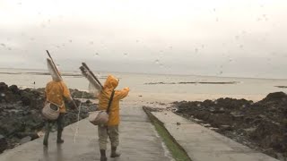 La Normandie, le royaume de la crevette