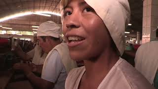 La dure réalité des usines de traitement des amandes en Bolivie