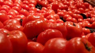 La tomate cerise, la reine du barbecue !