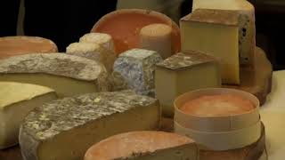 Documentaire Laure part en quête de fromages made in USA