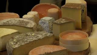 Laure part en quête de fromages made in USA