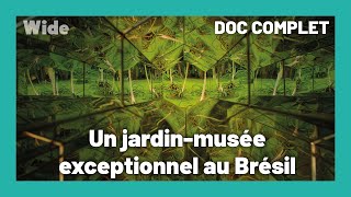 Documentaire Le musée au cœur de la jungle