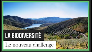 Le nouveau voyage d'Ulysse - La biodiversité