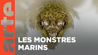 Documentaire Le réveil du printemps | L’Amérique des Grands Lacs