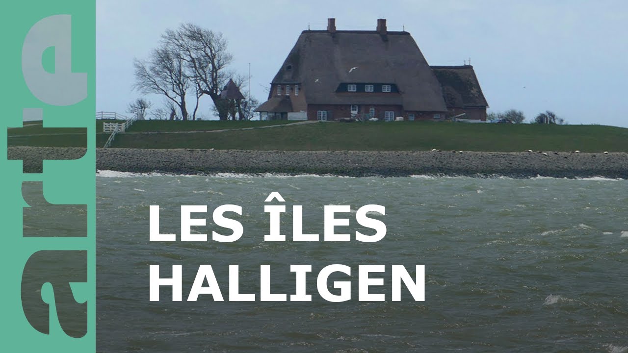 Documentaire Les îles Halligen, sous le joug des inondations 