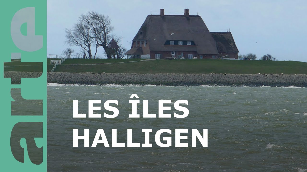 Les îles Halligen, sous le joug des inondations |