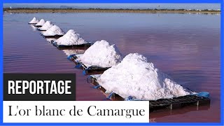 L’or blanc de Camargue