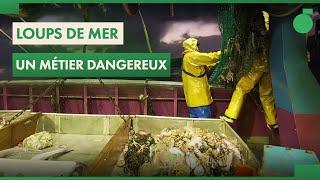 Documentaire Loups de mer : la disparition des marins pêcheurs