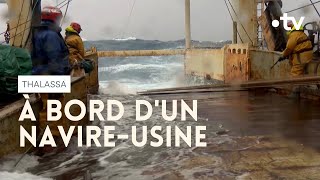 Documentaire Marin pêcheur : l’un des métiers les plus dangereux au monde