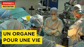 Un organe pour une vie