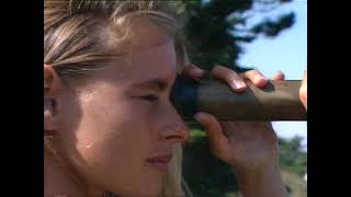 Un regard sur la Bretagne